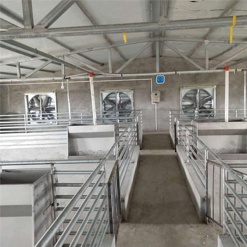 全自動飼喂系統在育肥舍中的應用與施工要點