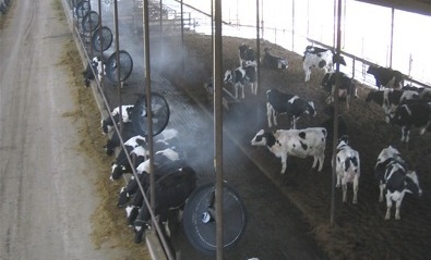 現代畜牧場綜合噴霧系統 降溫、消毒與除臭的技術革新與應用