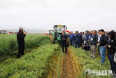 全國牧草（燕麥飼草）生產全程機械化推進活動在青海圓滿舉行，助力畜牧設備技術升級